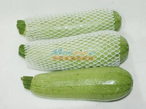 探訪優品供應商 皇城塑料廠的蔬菜水果網套專業之道